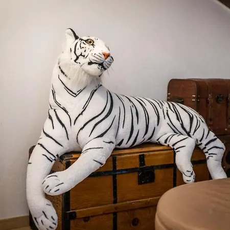 Apartamento Pero Dido *
