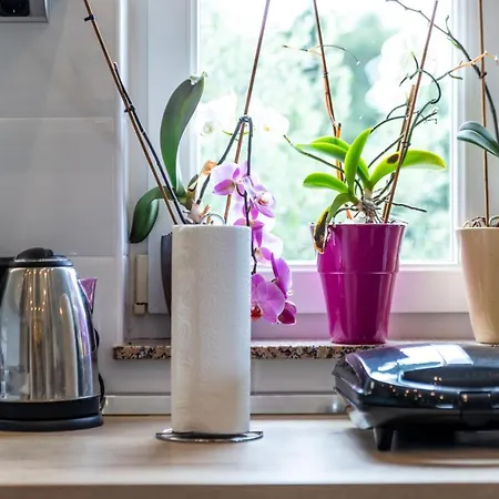 Pero Dido Lägenhet Banjol