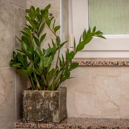 Pero Dido Lägenhet *