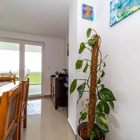 Pero Dido Апартаменты Банёл