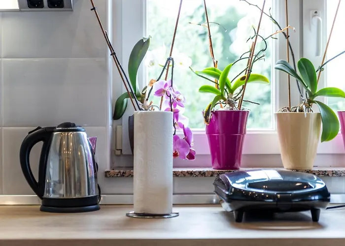 Pero Dido דירה Banjol