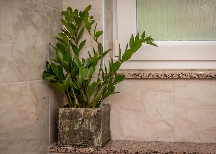 Pero Dido דירה *